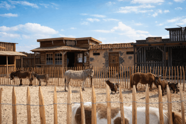 Westernkraal met ezels, geiten en verweerde gebouwen.